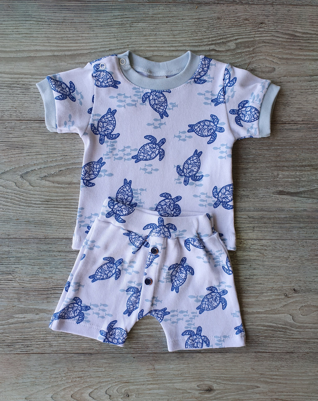 Conjunto Tartarugas