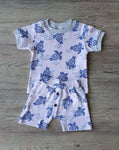 Conjunto Tartarugas