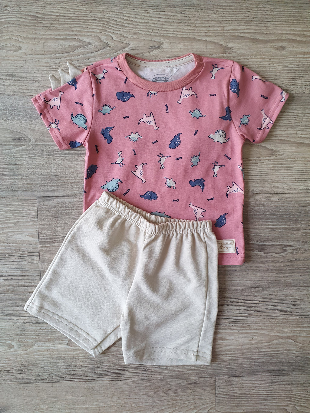 Conjunto Dinossauros