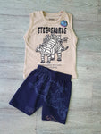 Conjunto Stegosaurus
