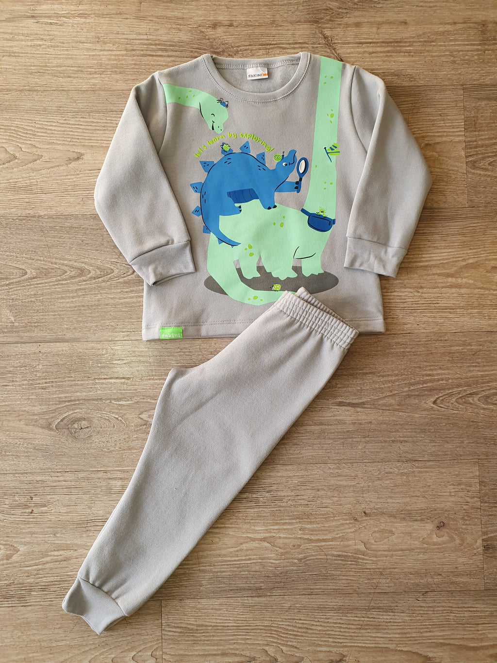 Conjunto Dino Explorador