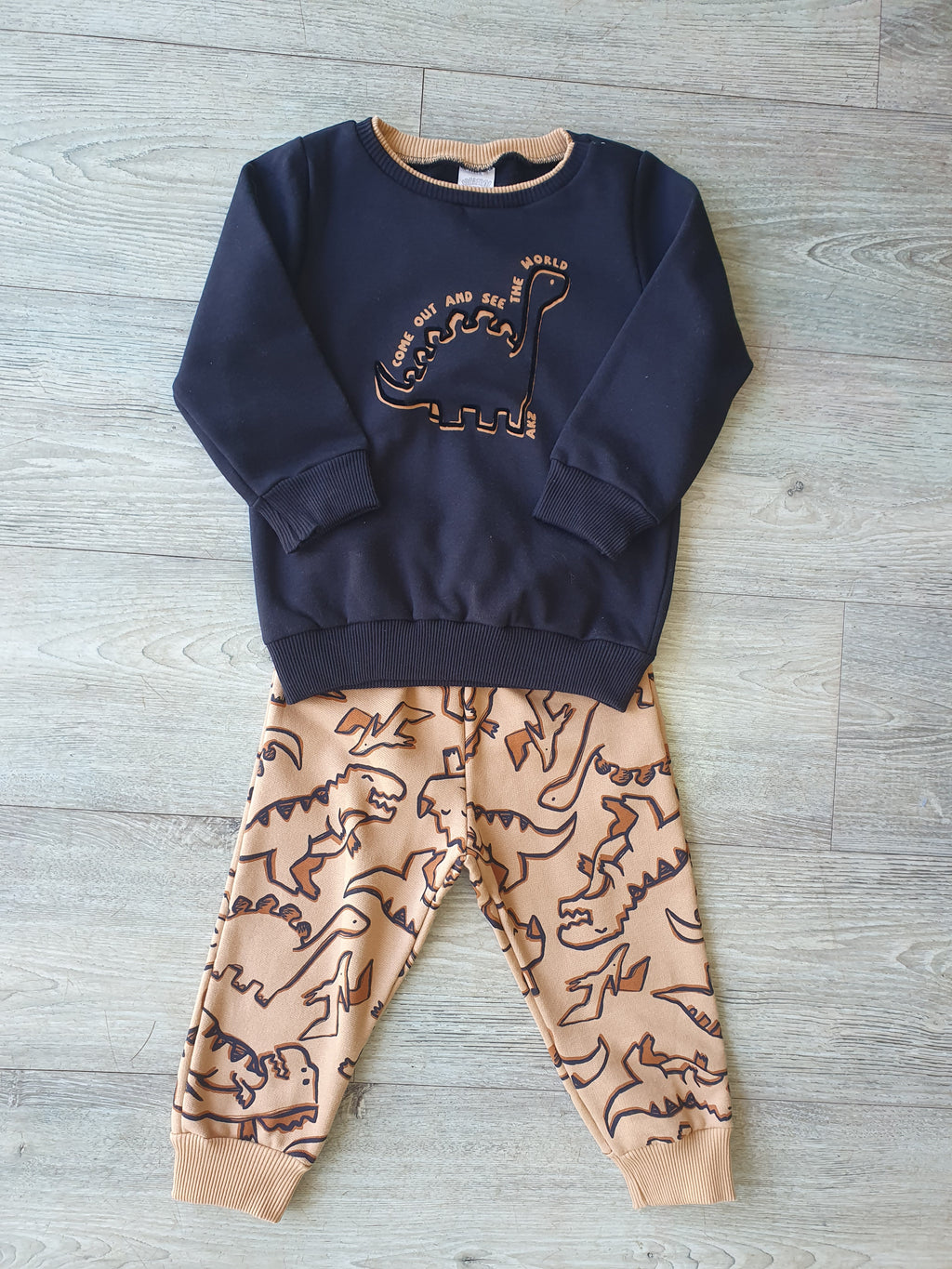 Conjunto Dino Baby