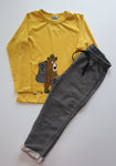 Conjunto Urso